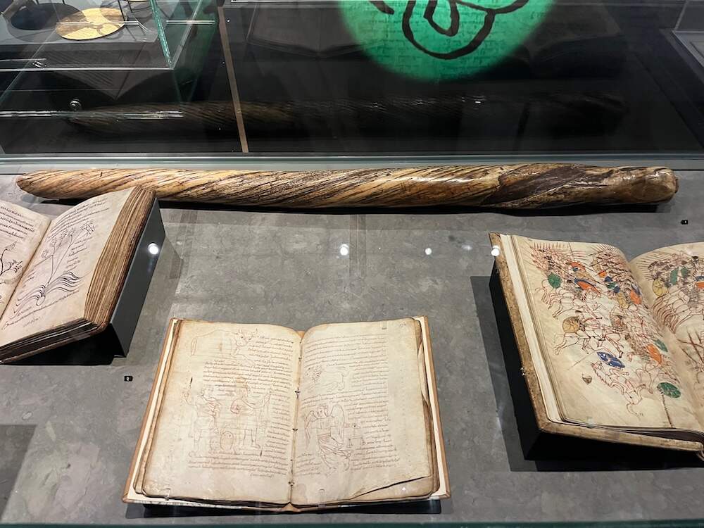 Eenhoorn narwal tand uit de Mariakerk 1000 1100