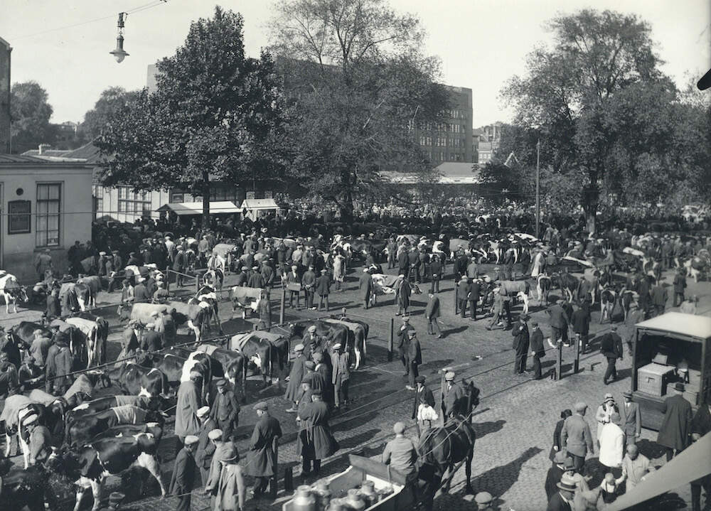 Laatste veemarkt Vredenburg 1928 Van Bommel HUA