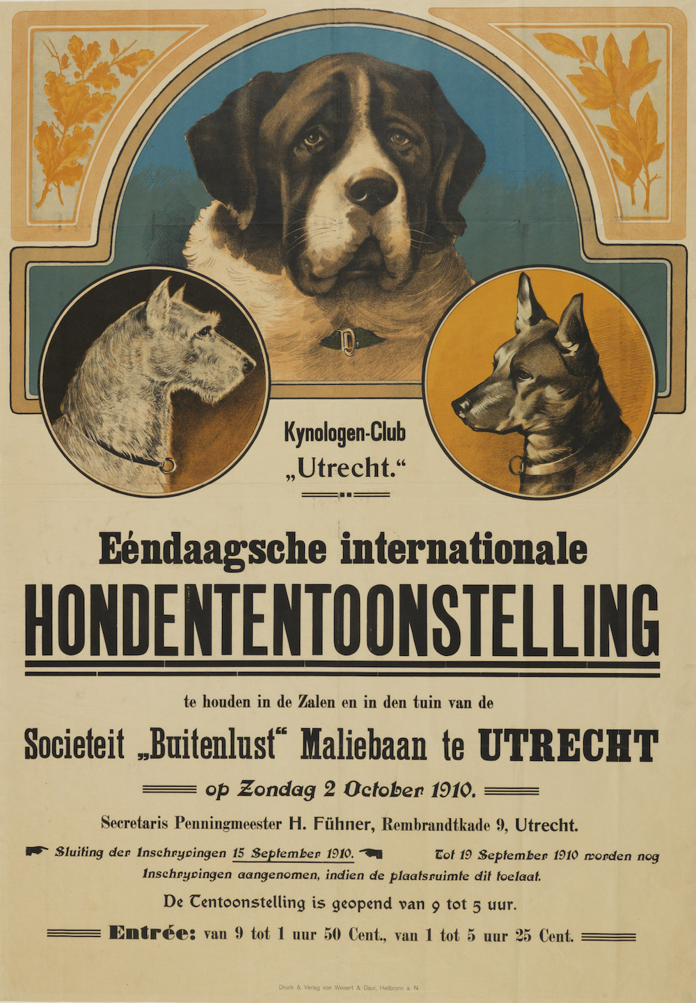 Internationale hondententoonstelling in de Sociteit Buitenlust aan de Maliebaan te Utrecht