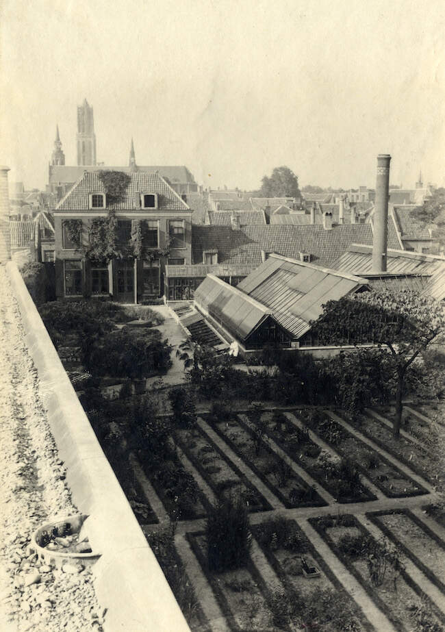 Gezicht op de kassen in de botanische tuin van de Hortus Botanicus 1924 HUA