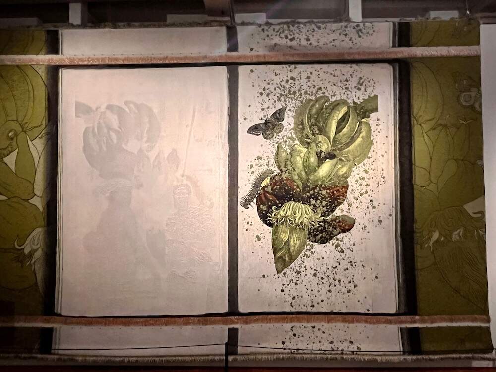 Patricia Kaersenhout met tekeningen Sibylla Merian