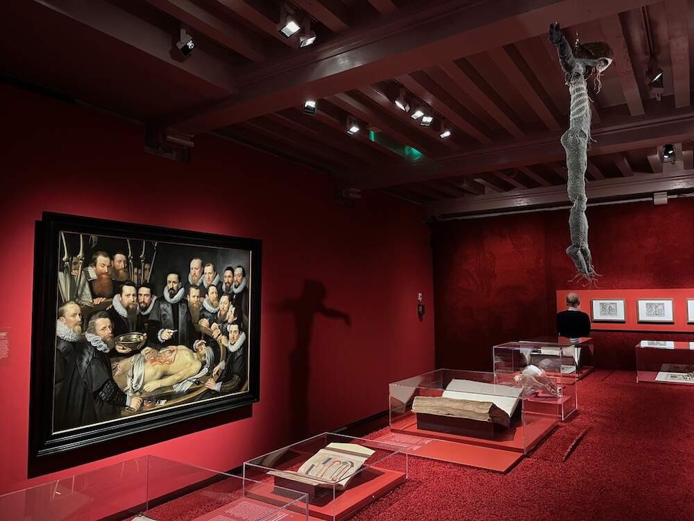 Scheppingwetenschap 3