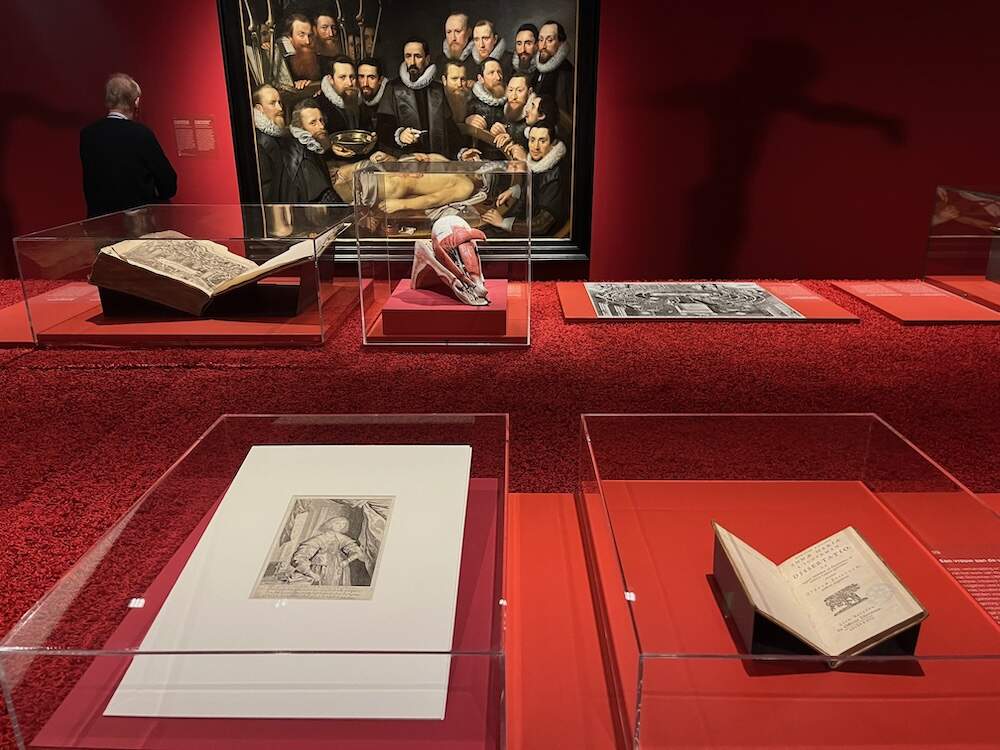 Scheppingwetenschap 4