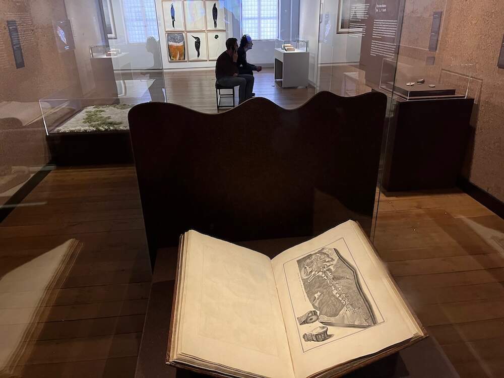 Scheppingwetenschap 7