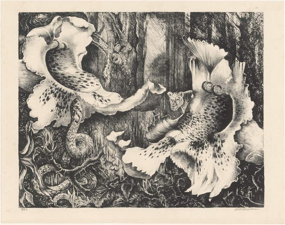 Jungle Willem van Leusden 1930 1931 Centraal Museum